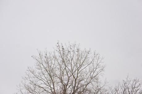 Petit coin du ciel #20 anteketborka.blogspot.com, ciel 20 b