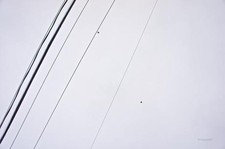 Petit coin du ciel #20 anteketborka.blogspot.com, ciel 20