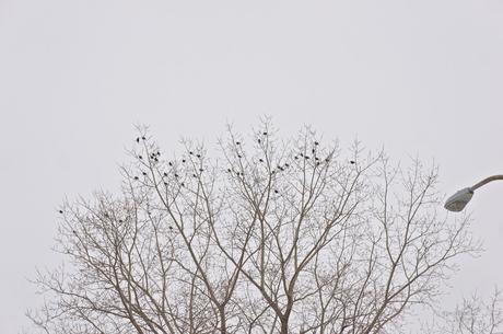 Petit coin du ciel #20 anteketborka.blogspot.com, ciel 20 c