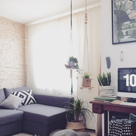 Bonjour Mars ! Mon mois de février en images. Plantes_suspendues_étageres_suspendues
