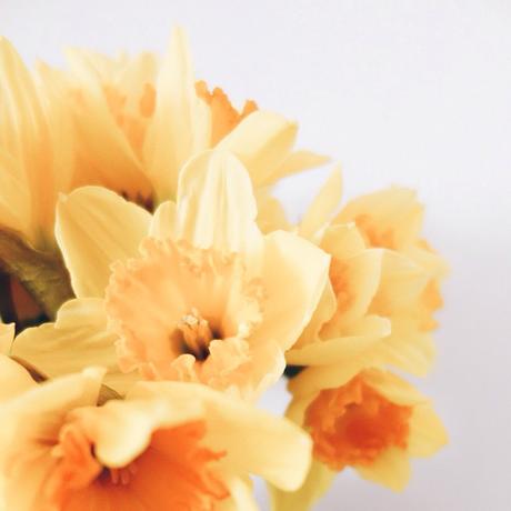 It’s monday…good morning #monday #endoftheweekend #flowers #yellow #hello #sun #picoftheday #happyday