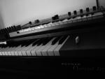 microkorg  et clavinet