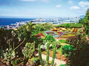 Cet été, 3 idées de destinations insolites funchal4