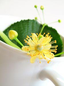 Asthme, médecines douces tisane-fleur