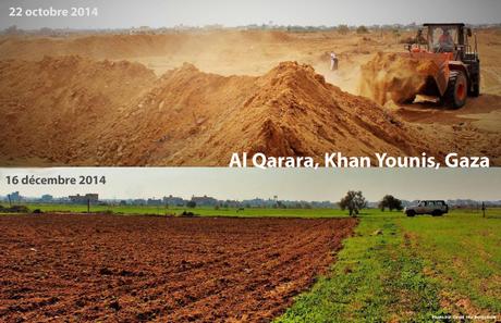Dans la zone frontalière située entre Gaza et Israël, 12 bulldozers ont nivelé 750 hectares de terres agricoles mises à mal pendant le conflit de 2014, et les routes agricoles endommagées ont été rouvertes. Le projet a permis aux cultivateurs palestiniens d’ensemencer avant la saison des pluies de l’hiver. ©ICRC/D. Von Burgsdorff