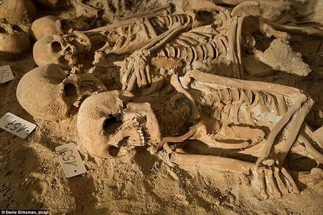 200 squelettes découvertes dans des fosses communes à Paris
