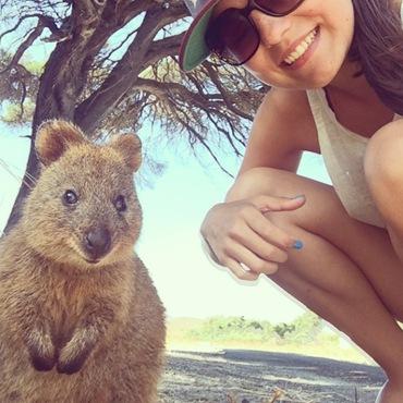 Quokka_Selfies_Meet_the_Worlds_happiest_Animal_on_Instagram_2015_02 Quokka_Selfies_Meet_the_Worlds_happiest_Animal_on_Instagram_2015_02