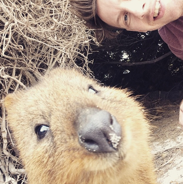 Quokka_Selfies_Meet_the_Worlds_happiest_Animal_on_Instagram_2015_08 Quokka_Selfies_Meet_the_Worlds_happiest_Animal_on_Instagram_2015_08