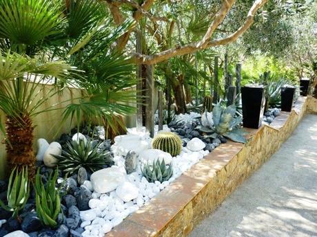 Inspiration jardin mineral x cactus 2