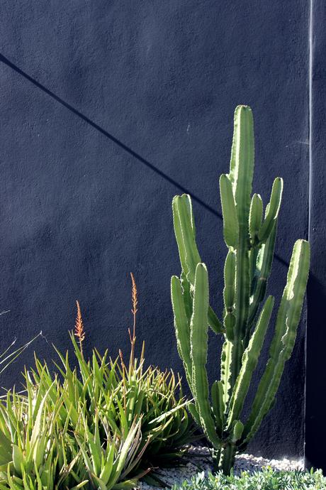 1Day1Post #22 – Jardin Minéral x Cactus Outdoor Galéo 6