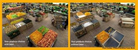 whole-foods-organic-bees_000