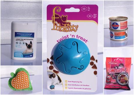 Kittybox de février box chat