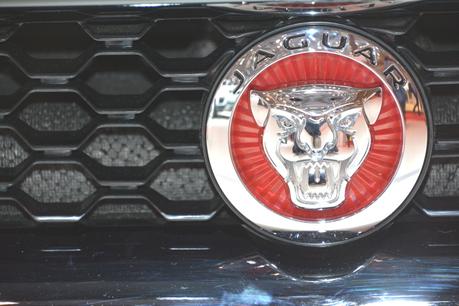 Le Salon international de l’auto en 293 photos (2ème partie) DSC_3815-sssssssss.jpg