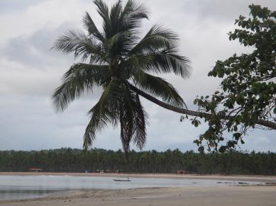 L’île de Boipeba ( Salvador, Brésil): une île qui se mérite!