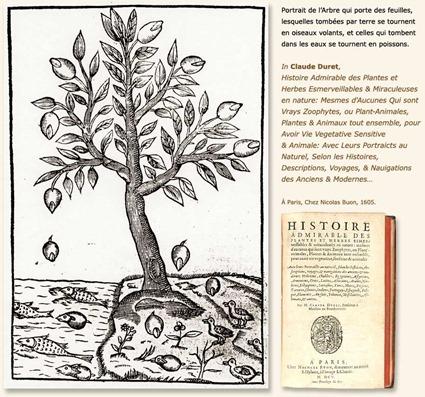 Claude Duret Claude Duret