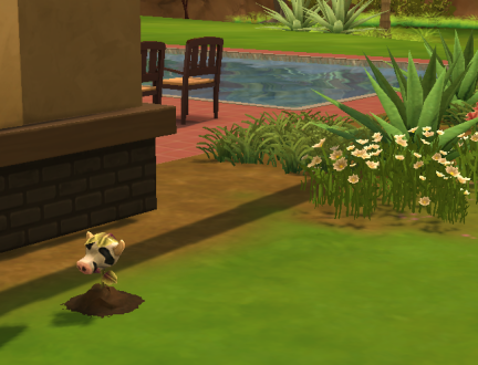 cow plant Sims 4