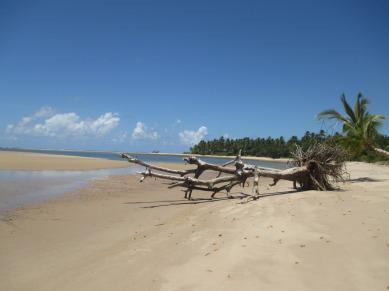 Sublime île de Boipeba ( Salvador, Brésil) – Partie 2