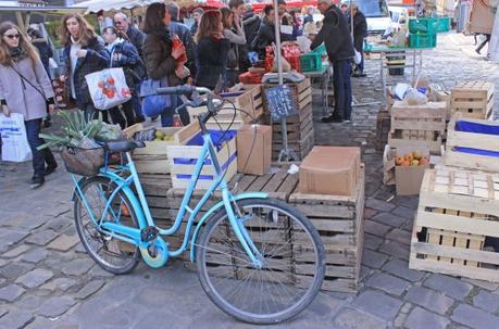 Prémices du printemps à Honfleur honfleur24