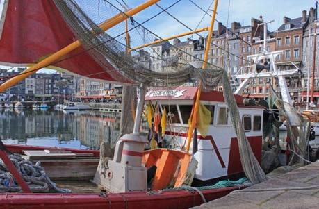 Prémices du printemps à Honfleur honfleur16