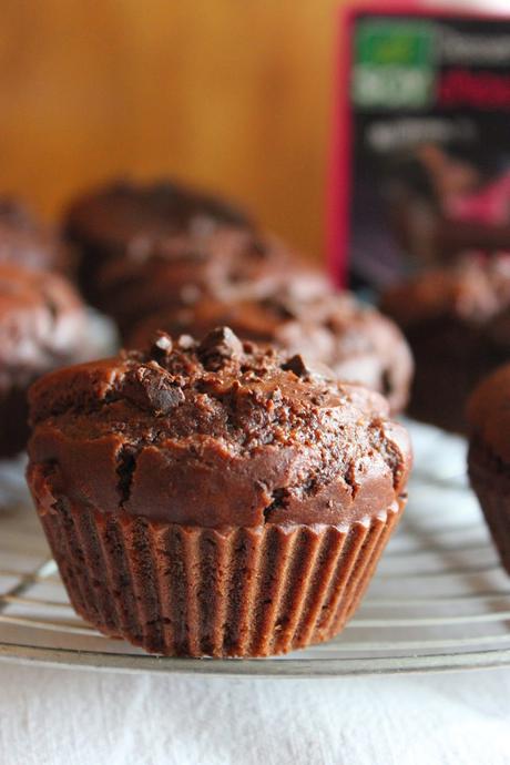 Muffins à la crème dessert au chocolat sans gluten