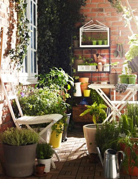 Jardin de Balcon, les semis #Spring Jardin de Balcon, les semis #Spring