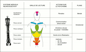 Signification émotionnelle des « mal-a-dit » grille-lecture-ke