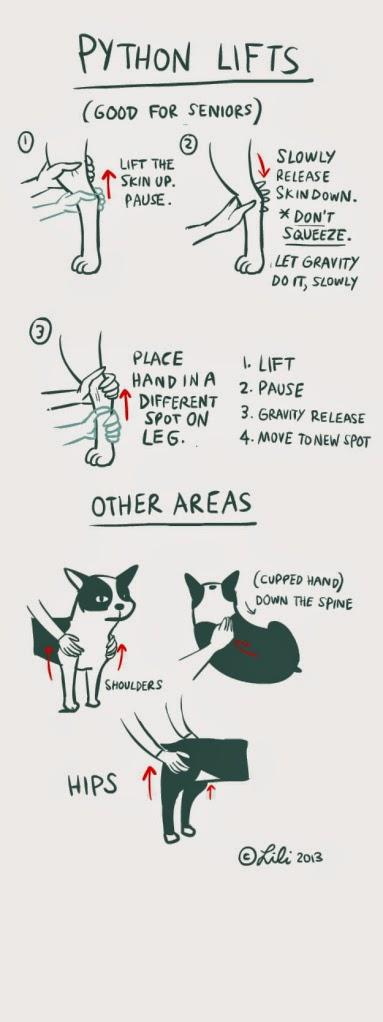 Pour un chat heureux Pour un chat heureux