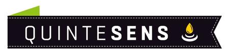 Mon nouveau partenaire Quintesens logo-quintesens-2013-hd