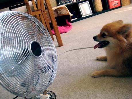Don`t let heat ruin your day, get a portable air conditioner Don`t let heat ruin your day, get a portable air conditioner