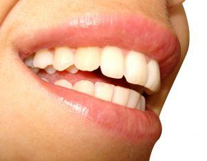 Probiotiques bouche