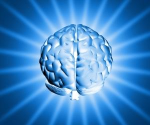 Probiotiques cerveau