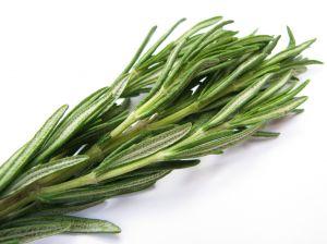 Plantes détox romarin