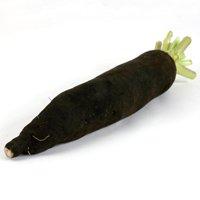 Plantes détox radis noir