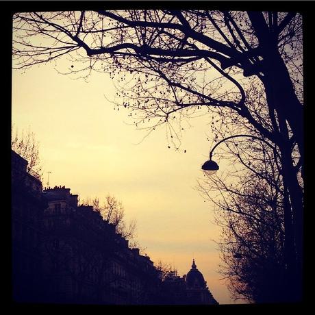 Jaune ciel d'hiver (10 mars) <script type=