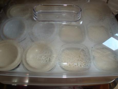 Crème aux œufs !!Multi-délices Crème aux œufs !!Multi-délices