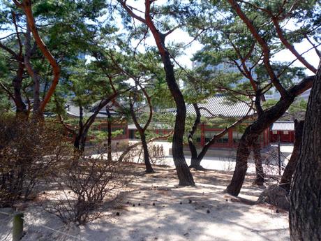 Voyage : 5 jours à Seoul Corée du Sud – Day 4 Seoul Deoksugung