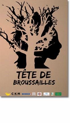 Tête de broussailles théâtre pour tous, à voir absolument mercredi prochain au Théâtre Astral/Le dernier coup de marteau film d'Alix Delaporte inoubliable/Cinéma encore : Masques blancs peaux noires dans les Alpes à une fête africaine/L'homme de Paille...