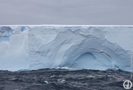 Iceberg, Kerguelen