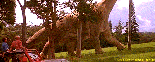 Tag Liebster Award Tag Liebster Award