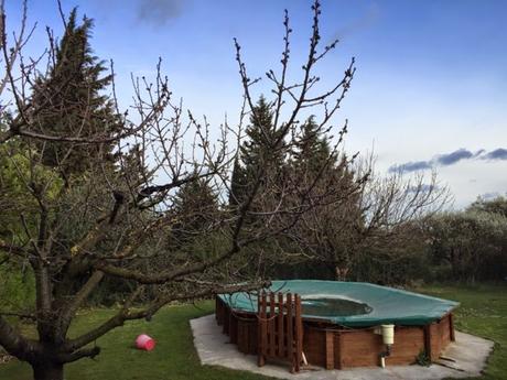 Cerisiers : les premiers bourgeons Cerisiers : les premiers bourgeons