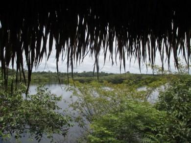 Vue du bungalow Juma Amazon Lodge