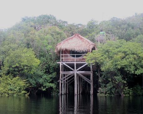 bungalow Juma Amazon Lodge