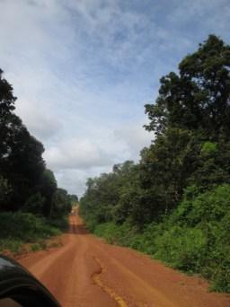 chemin de terre Amazonie