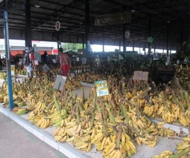 hangar de bananes près du port Manaus
