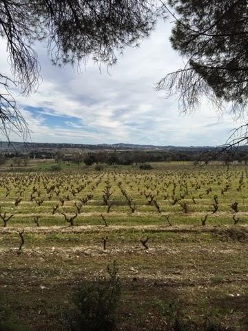 Premiers paysages du printemps Premiers paysages du printemps