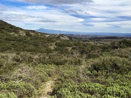 Premiers paysages du printemps Premiers paysages du printemps