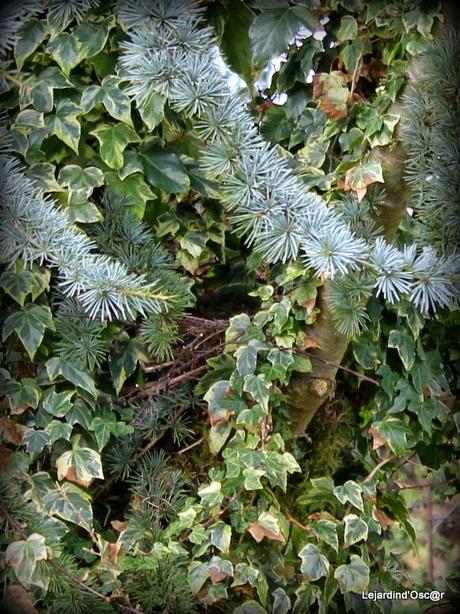 Printemps, es-tu là ? Printemps, es-tu là ?