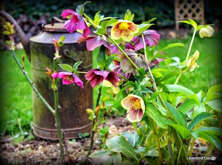 Printemps, es-tu là ? Printemps, es-tu là ?