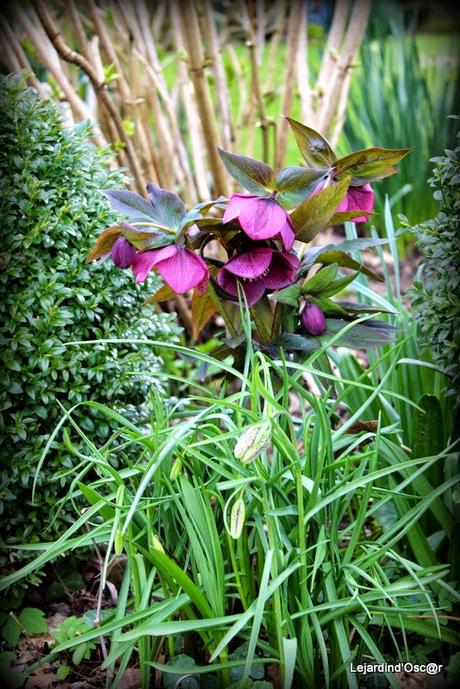 Printemps, es-tu là ? Printemps, es-tu là ?