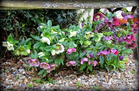 Printemps, es-tu là ? Printemps, es-tu là ?